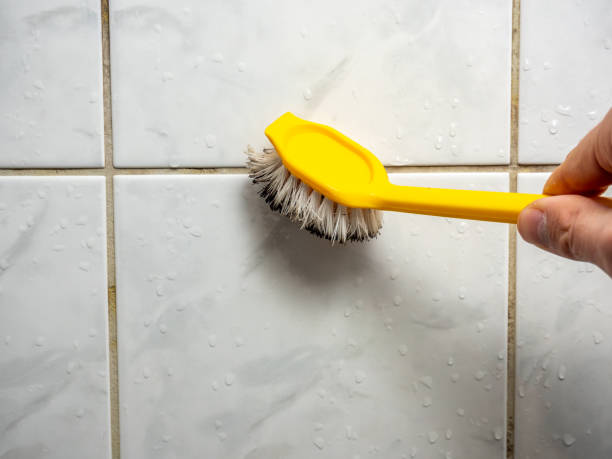 Reliable Orange Grove, TX Mold Removal Solutions
