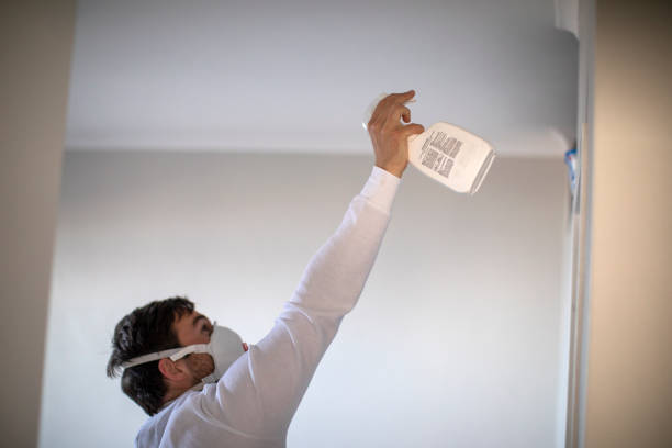 Best Toxic Mold Removal  in Orange Grove, TX