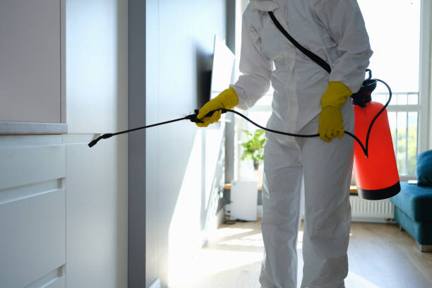 Best Mold Cleaning Services  in Orange Grove, TX