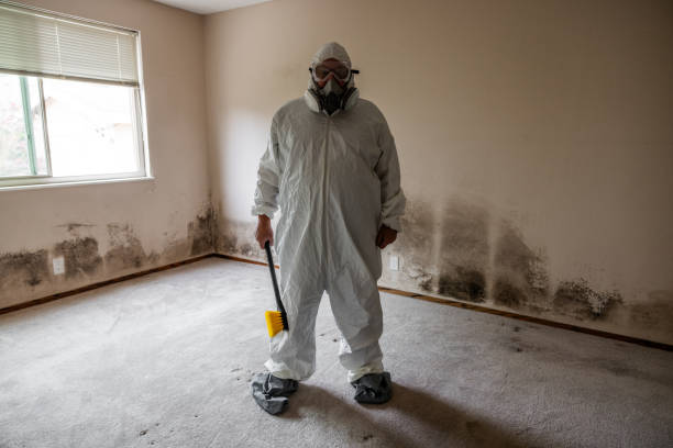 Best Local Mold Removal Service  in Orange Grove, TX